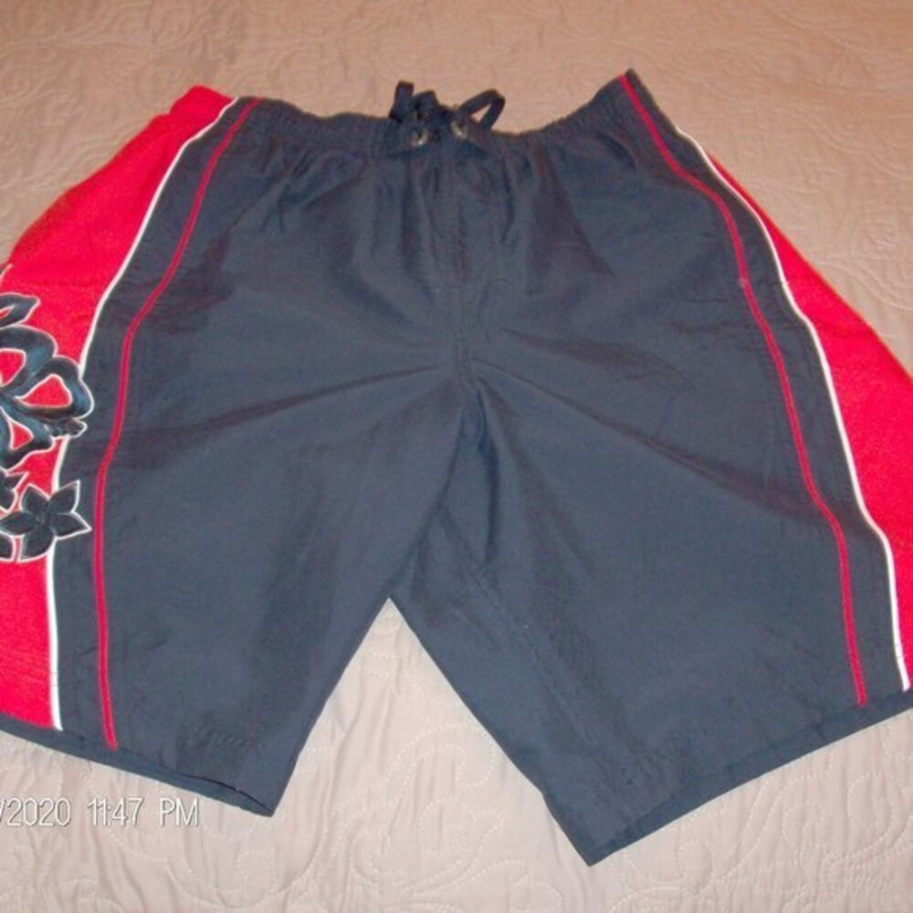 red and gray speedo swim trunks